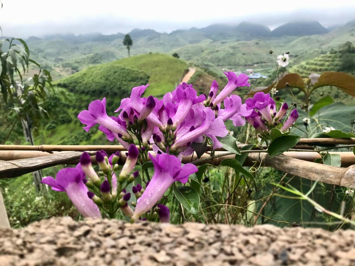 Vuon Tren May - Skyline Farm & Homestay Moc Chau Eksteriør billede