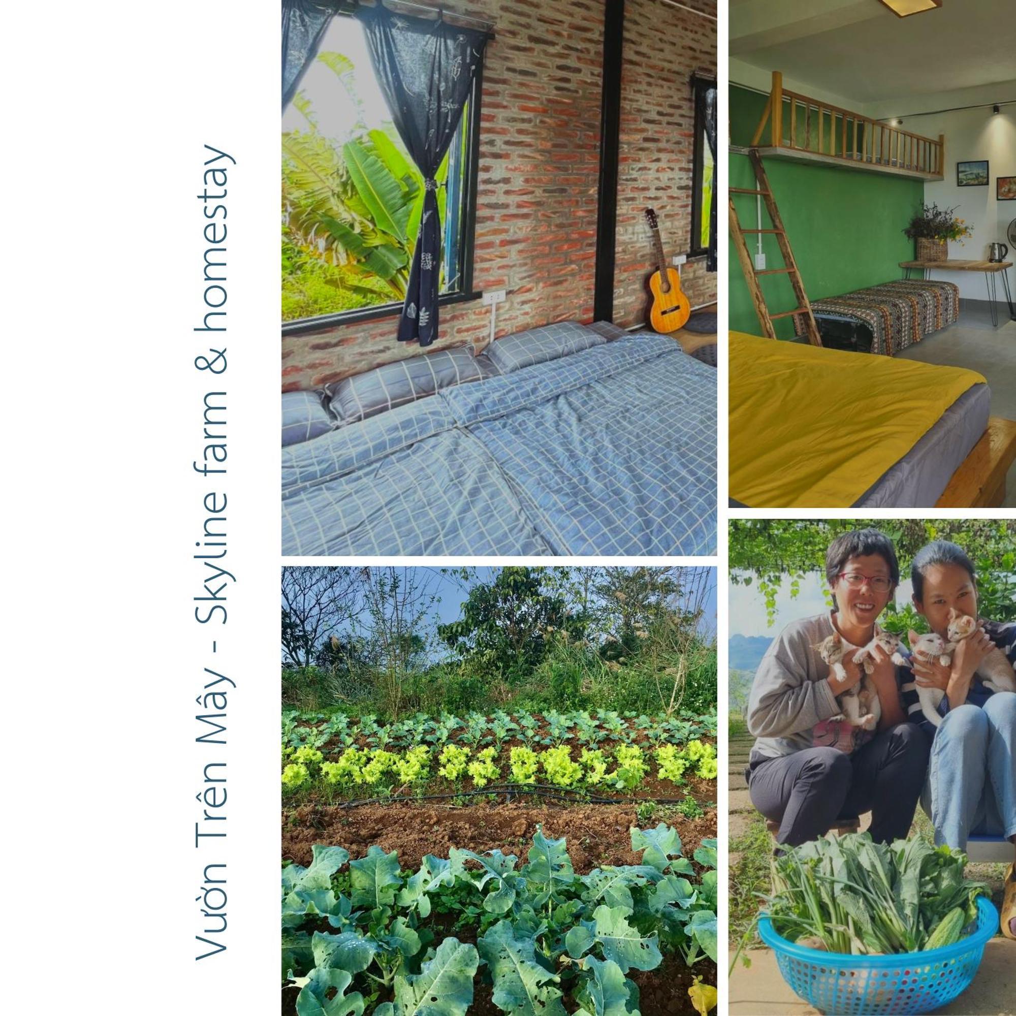 Vuon Tren May - Skyline Farm & Homestay Moc Chau Eksteriør billede